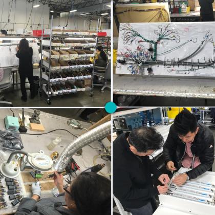 Custom Cable Assembly