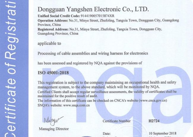 ISO 45001 Y.C. Cable China Leads in Cable Assembly Safety